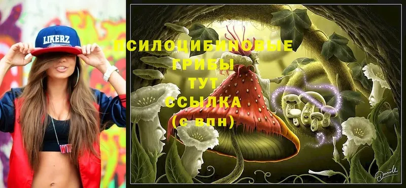 Галлюциногенные грибы GOLDEN TEACHER  Далматово 